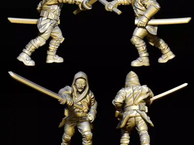 Ronin  3D print model