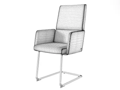 DS 414 Cantilever Armchairs 3D model