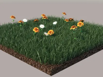 Grass grassy field with orange flowers 3D model
