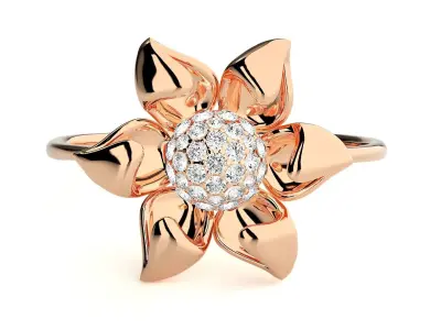 Ring - 12 3D print model