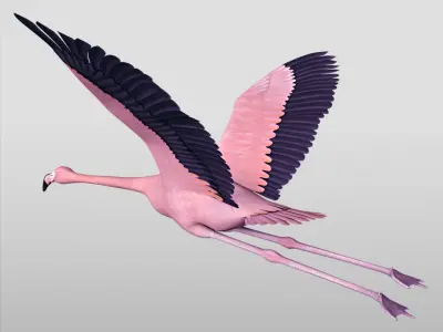  Flamingo Pink - Flight 