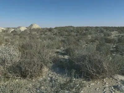  Desert Landscape 6 3D model