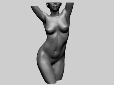 Female Torso C 3D model