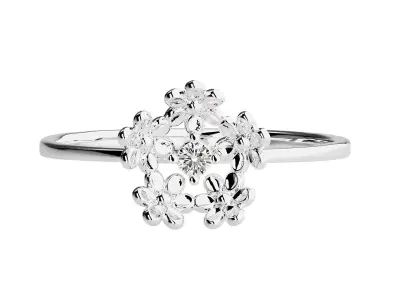 Ring - 121 3D print model purchase