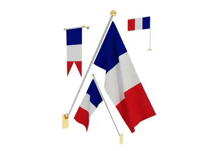 Flags of France 3D model