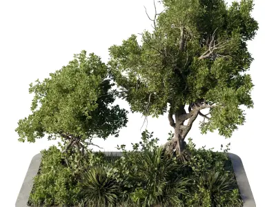 Wooden Box Plant Garden  - Outdoor Plants set 194 3D model