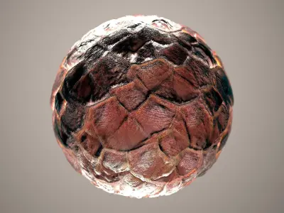 10 Materials Skin Dragon Seamless PBR Volume 8 Texture