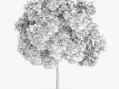  5 Horse Chestnut Trees 