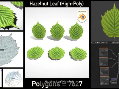 Hazelnut and Leaf 3D Model Pack