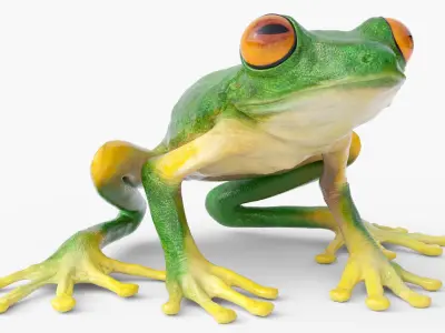  Idle Tree Frog Animated Rigged for Blender 