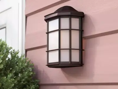 Boone Oil Rubbed Bronze Glass Outdoor Wall Lantern 3D model