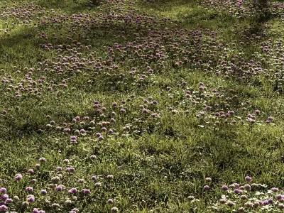 Grass and clover plantation 3D model