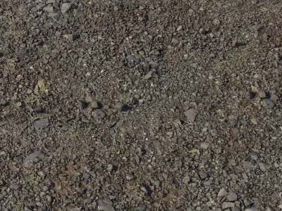 Wet Gravel and Mud with Moss Texture