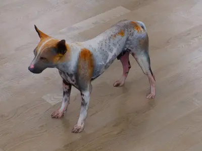 Mixed-breed dog Low-poly 3D model