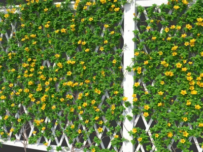 Fence - Mandevilla Sanderi with yellow flowers 3D model