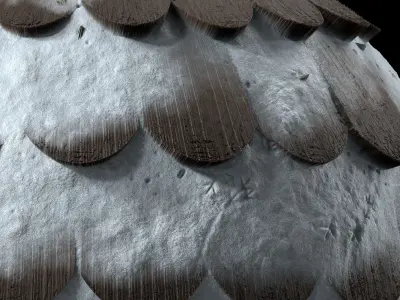 Roof Tile Materials 83- Wooden Roofing By Sbsar Seamless Pbr Texture