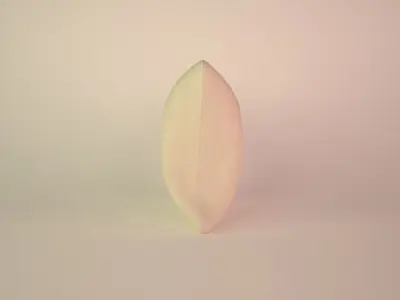 Pillow Low-poly 3D model 3
