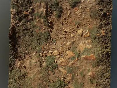 Scangrassandstone01 3D model