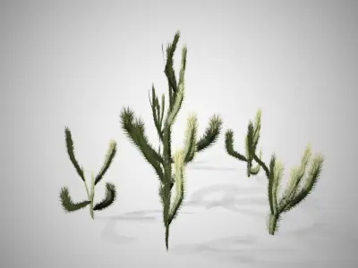 Cholla Cactus Tree Low-poly 3D model