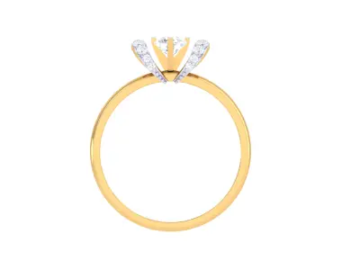 Women Ring  Render 3dm STL OBJ FBX Details 3D print model 307