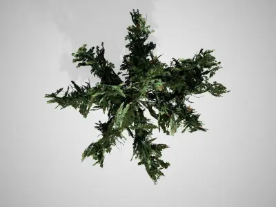 Common Hawthorn Tree Low-poly 3D model