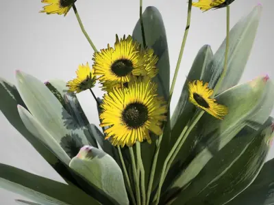 Frailejon flower Low-poly 3D model