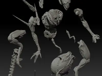 The Juvenile Queen 3D print model