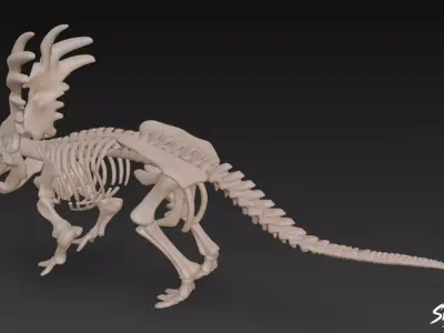 Styracosaurus fossil Low-poly 3D model