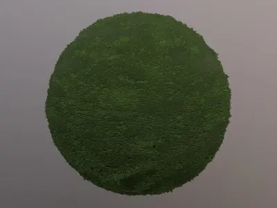 Grass pbr moss Texture