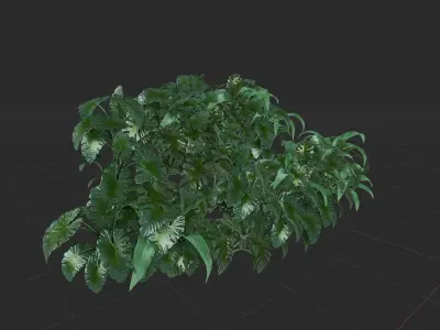 Tropical forest and river assets Low-poly 3D model