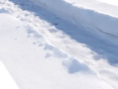 Winter footpath 3D model