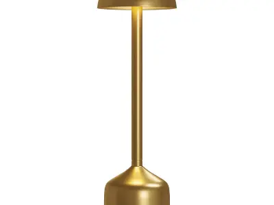 IMAGILIGHTS DEMOISELLE TALL BOWL Table lamp  3D model