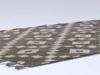 Rug with Fringe 3D model