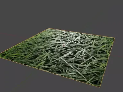 Grass Texture Seamless - 2K - Grama Texture