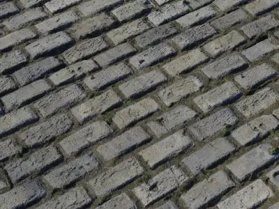 Mossy Concrete Brick Pavers PBR Texture  Texture