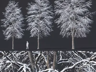 Tilia europaea Nr 7 H11-14m Three winter tree set 3D model