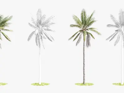 8 Model Coconut Tree with looped wind animation Low-poly 3D model