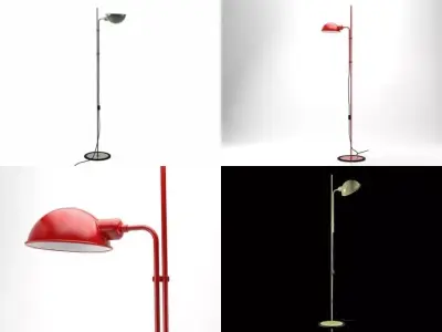 Funicoli floor 3D model