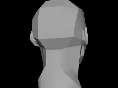 Planes of the Head - Male Asaro model 3D model