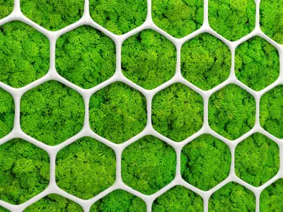 Fytowall moss 3D 2 3D model