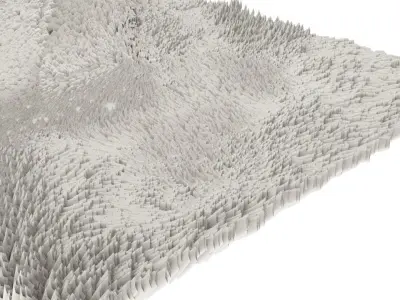 Carpet 3D model