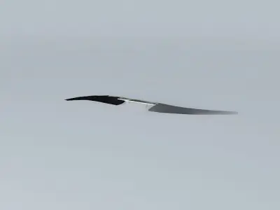 Bridge Thader Free 3D model