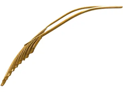 Gold Xylophone Necklace Low-poly 3D model