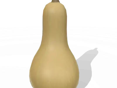 Squash Butternut