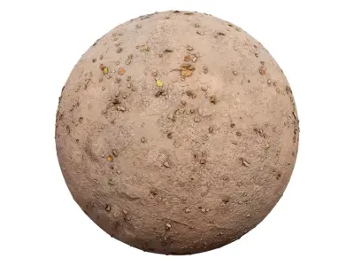 Dry Leafy Dirt Ground PBR Texture