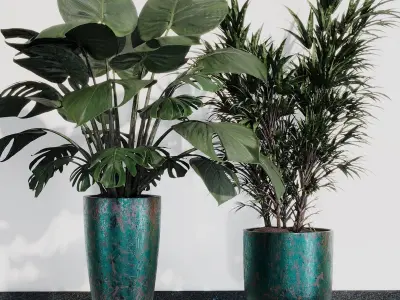 INDOOR PLANT SET 07 3D model