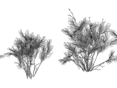 Stylized Rosemary Shrub Pack  Low-poly 3D model