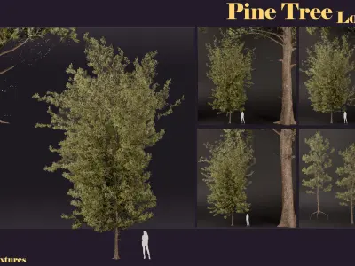 SJ-lowpoly pine tree set 01 Low-poly 3D model