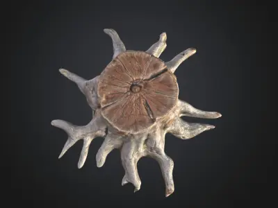 Old tree stump 3D model