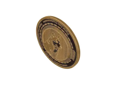 Husky Avax Coin v2 002 3D model